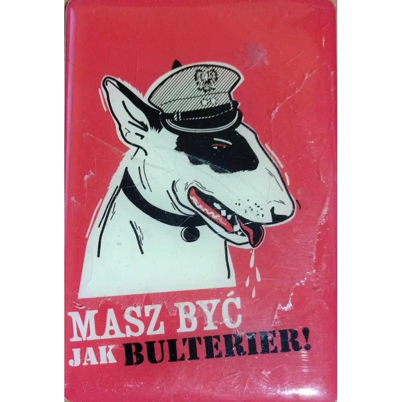 MAGNES MASZ BYĆ JAK BULTERIER!