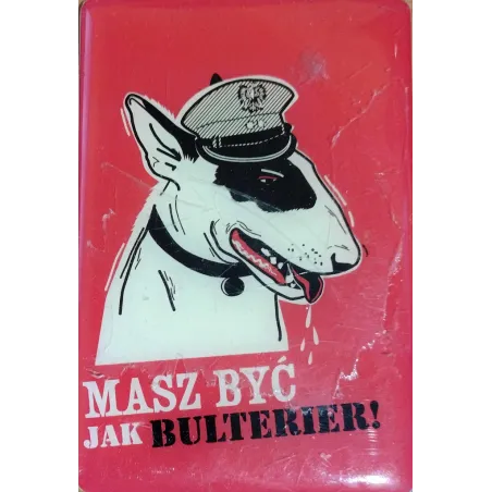MAGNES MASZ BYĆ JAK BULTERIER!