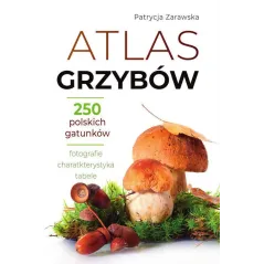 Patrycja Zarawska