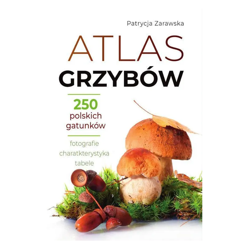 Patrycja Zarawska