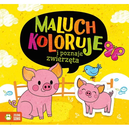 Maluch Koloruje I Poznaje Zwierzęta