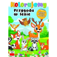 PRZYGODA W LESIE. KOLORUJEMY