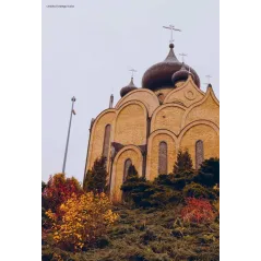Katarzyna Węgrzyn