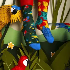 Bawełniane Skarpetki Męskie Paradise Parrot Rozmiar 43-46 Many Mornings