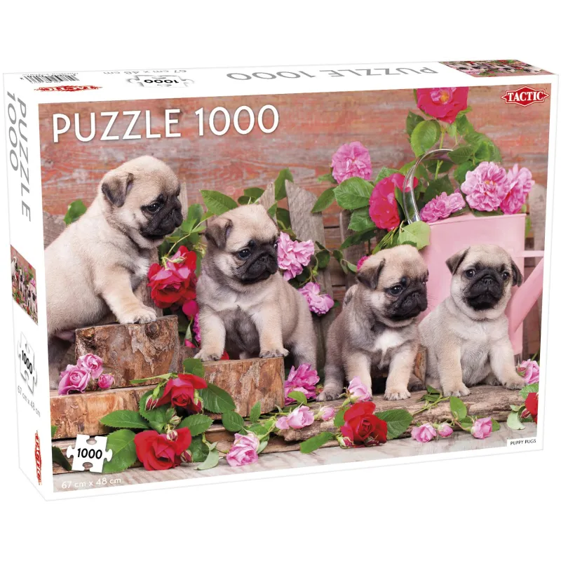 ANIMALS PUPPY PUGS PUZZLE 1000 ELEMENTÓW 10+