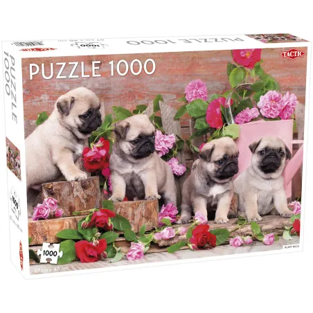 ANIMALS PUPPY PUGS PUZZLE 1000 ELEMENTÓW 10+