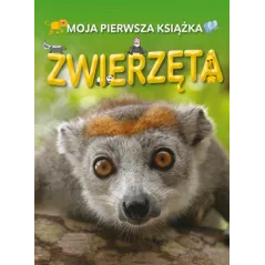 Praca Zbiorowa