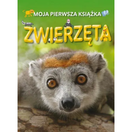 Praca Zbiorowa