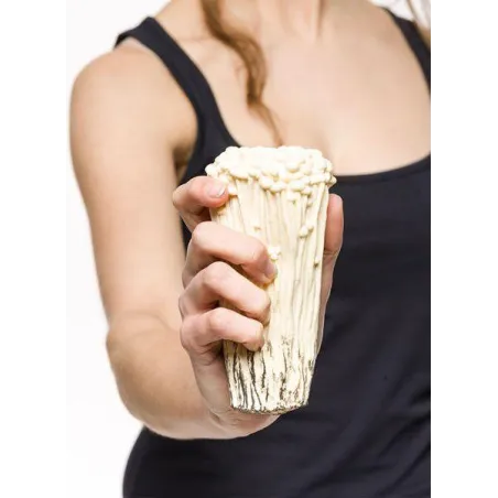 ANTYSTRESOWY GRZYB ENOKI