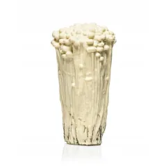 ANTYSTRESOWY GRZYB ENOKI