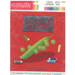 MAŁY ARTYSTA KOLOROWANKI 