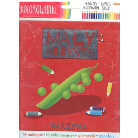 MAŁY ARTYSTA KOLOROWANKI 