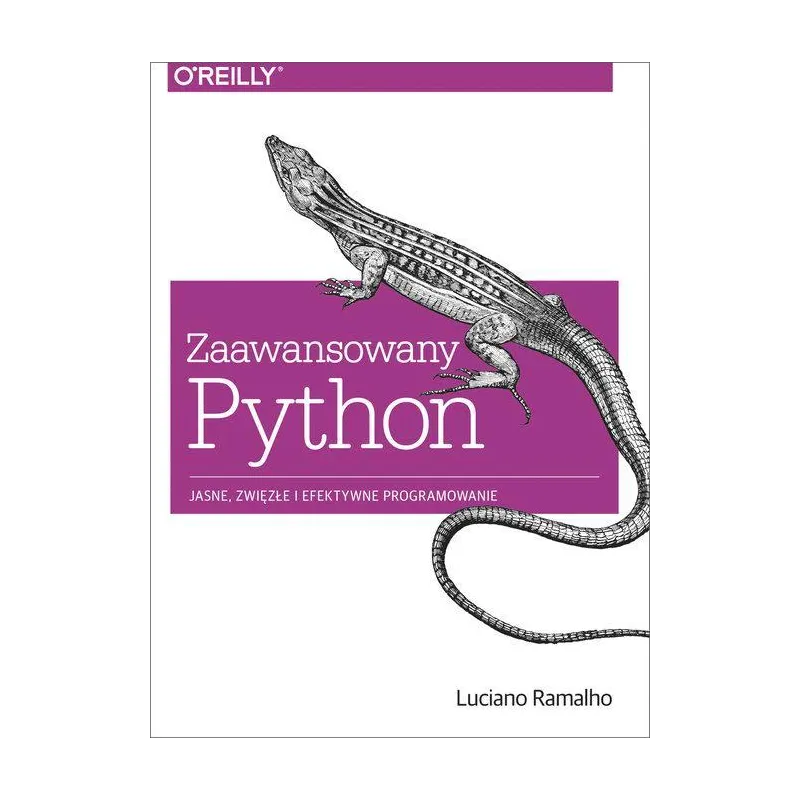 Zaawansowany Python Jasne zwięzłe i efektywne programowanie Ramalho Luciano