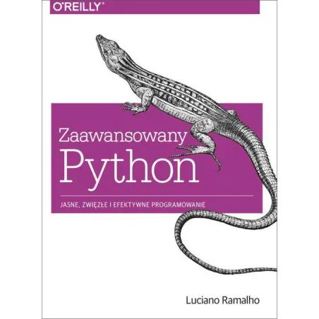 Zaawansowany Python. Jasne Zwięzłe I Efektywne Programowanie Zaawansowany Python. Jasne Zwięzłe I Efektywne Programowanie