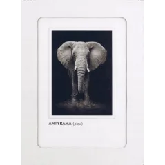 ANTYRAMA PLEXI 15X20 CM
