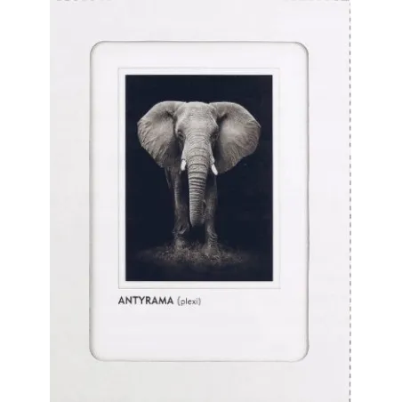 ANTYRAMA PLEXI 15X20 CM