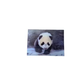 KARTKA POCZTÓWKA TRÓJWYMIAROWA PANDA 3D