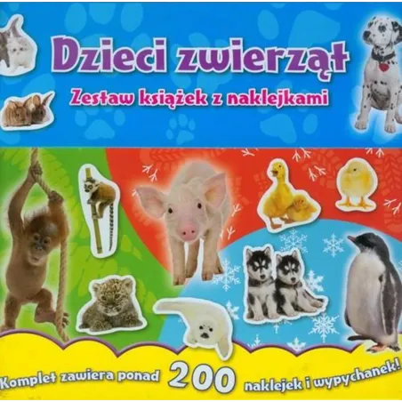 praca zbiorowa