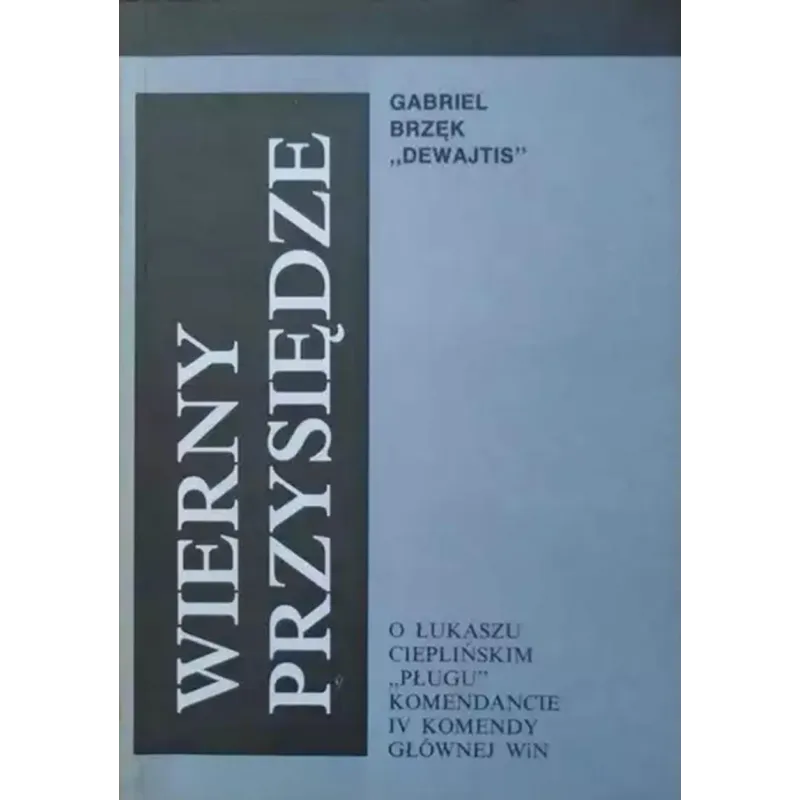 WIERNY PRZYSIĘDZE Gabriel Brzęk Dewajtis