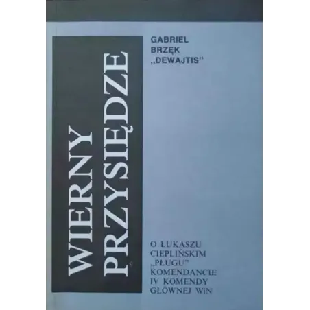 WIERNY PRZYSIĘDZE Gabriel Brzęk Dewajtis