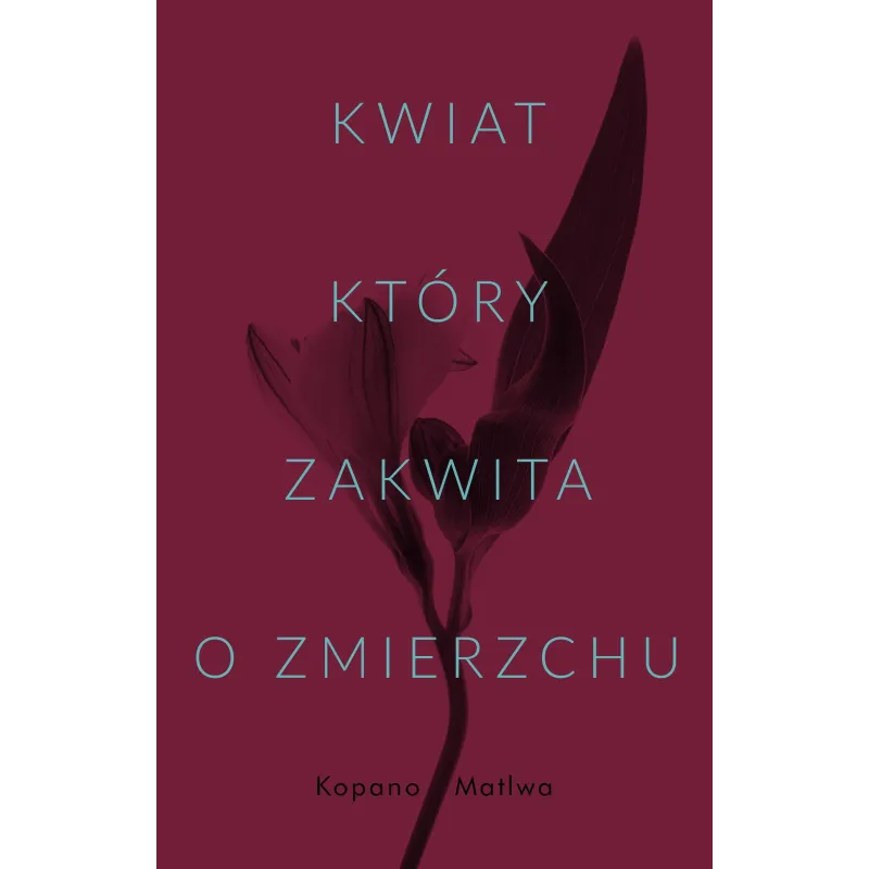 KWIAT KTÓRY ZAKWITA O ZMIERZCHU Kopano Matlwa - Czarna Owca