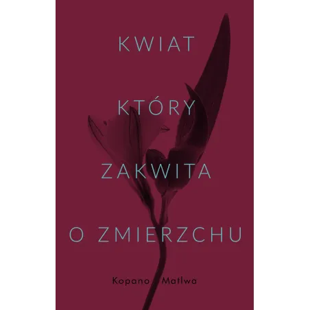 KWIAT KTÓRY ZAKWITA O ZMIERZCHU Kopano Matlwa - Czarna Owca