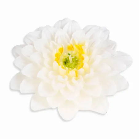 ŚWIECA GERBERA