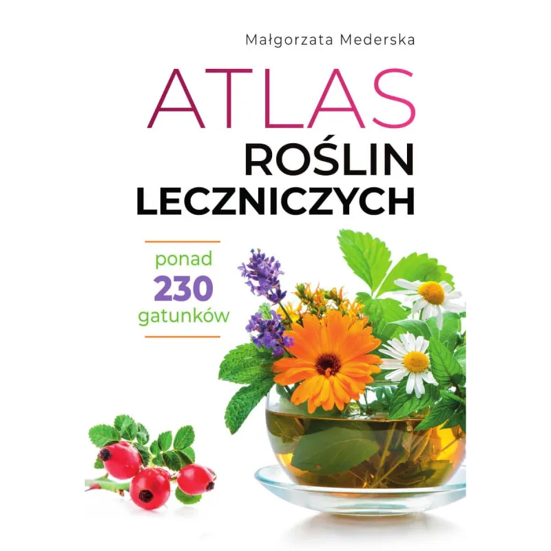 Małgorzata Mederska