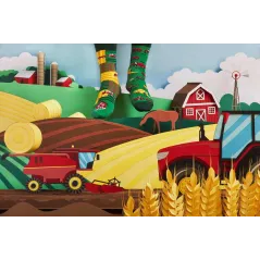 SKARPETY KOLOROWE HAPPY HARVEST ROZMIAR 35-38