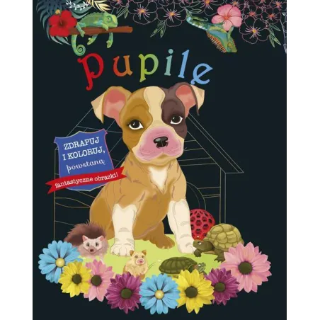 PUPILE. ZDRAPUJ I KOLORUJ