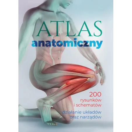 Atlas Anatomiczny Atlas Anatomiczny