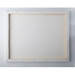 CZAROWNICA BEZ MIOTŁY MALOWANIE PO NUMERACH 40 X 50 CM