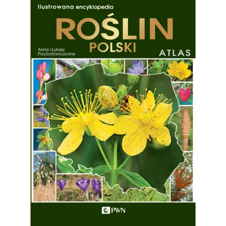 ILUSTROWANA ENCYKLOPEDIA ROŚLIN POLSKICH ATLAS Anna Przybyłowicz, Łukasz Przybyłowicz - Fenix