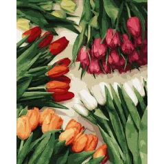 MALOWANIE PO NUMERACH KOLOROWE TULIPANY 40 X 50 CM