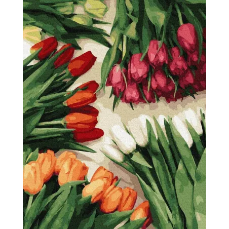 MALOWANIE PO NUMERACH KOLOROWE TULIPANY 40 X 50 CM