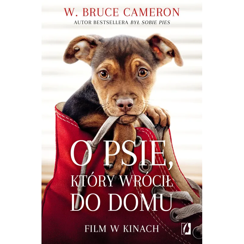 O PSIE, KTÓRY WRÓCIŁ DO DOMU - Kobiece O PSIE, KTÓRY WRÓCIŁ DO DOMU - Kobiece