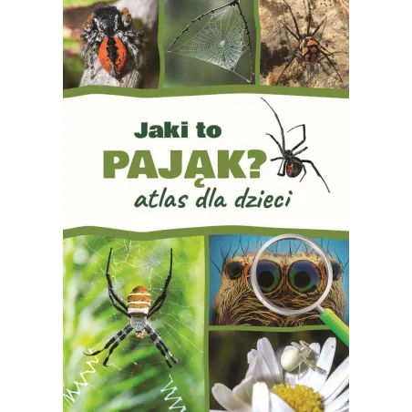 Jaki to pająk Atlas dla dzieci Jacek Twardowski