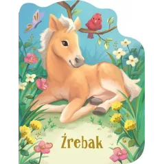ŹREBAK