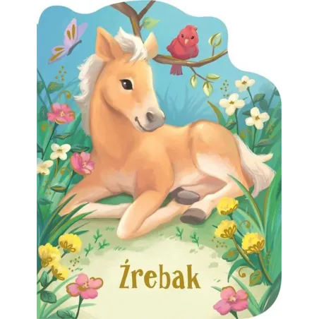 ŹREBAK