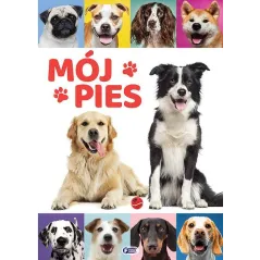 MÓJ PIES