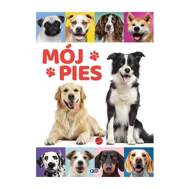 MÓJ PIES