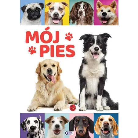 MÓJ PIES
