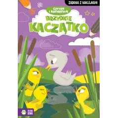 BRZYDKIE KACZĄTKO CZYTAM I ROZWIĄZUJĘ - Zielona Sowa