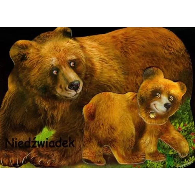 NIEDŹWIADEK