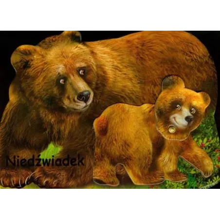 NIEDŹWIADEK
