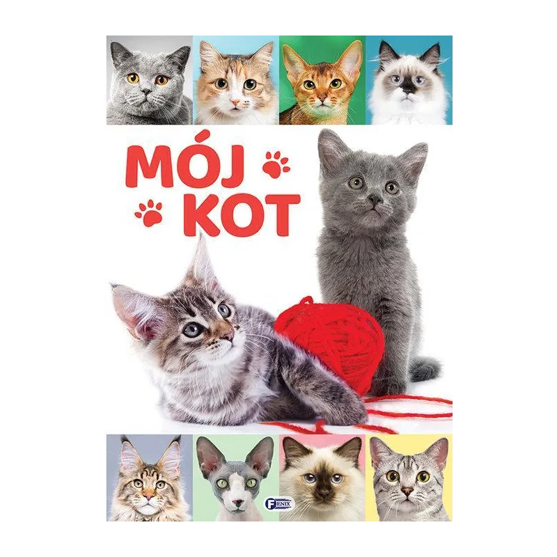 MÓJ KOT