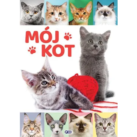 Mój Kot