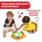 Sorter Interaktywna Ścieżka Sensoryczna 4Pory Roku Chicco 9M+ Ii Gatunek Sorter Interaktywna Ścieżka Sensoryczna 4Pory Roku Chicco 9M+ Ii Gatunek