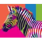 Malowanie Po Numerach Tęczowa Zebra Malowanie Po Numerach Tęczowa Zebra