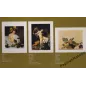Caravaggio 5 Fotografii W Passe-Partout Caravaggio 5 Fotografii W Passe-Partout